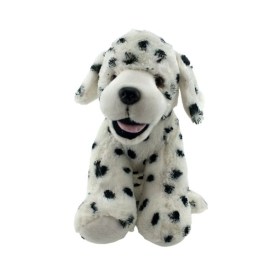 Pongo